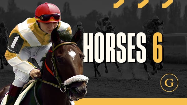 Horses 6